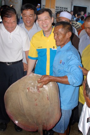 KETUA Menteri tersenyum selepas ‘membisik’ harga tawaran ikan pari yang dipegang oleh seorang nelayan di Pasar Berbisik, Kuala Muda, Penaga bersempena program Ketua Menteri Bersama Rakyat - Seberang Perai Utara di sini baru-baru ini. Turut serta adalah Lim Hok Seng (kiri sekali) dan Wong Hon Wai (dua dari kiri).