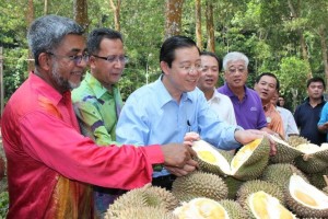 KETUA Menteri (tiga dari kiri) ditemani Abdul Halim Hussain (dua dari kiri)  dam barisan Exco negeri memerhatikan durian bermutu tinggi yang terdapat di Anjung Indah di sini baru-baru ini. 