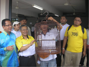 MANSOR Othman (tiga dari kiri) dan Abdul Halim Hussain (kiri sekali) tertarik dengan kicauan burung Murai Batu salah seorang peserta pada Pertandingan Suara dan Gaya Burung di sini baru-baru ini. 