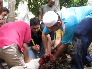 MOHD. Tuah Ismail (kanan sekali) menyempurnakan penyembelihan kambing sempena sambutan Aidiladha di Kampung Sungai Burong di sini baru-baru ini.