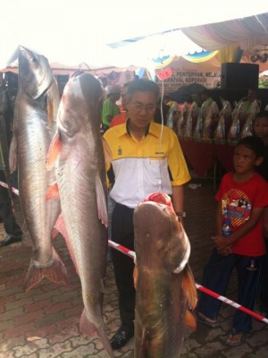 TIMBALAN Ketua Menteri I, Datuk Mansor Othman memerhatikan ikan yang berjaya dipancing dalam pertandingan memancing sempena penganj u ran Hari Peladang, Penternak, Nelayan dan Karn i v a l Koperasi Peringkat Negeri Pulau Pinang di sini barubaru ini.