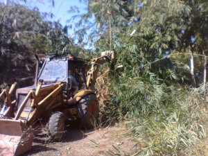 KERJA kerja membersihkan semak-samun di kawasan pembinaan longkang kini giat dijalankan di kampung Guar Tuan Syed, Penaga di sini.