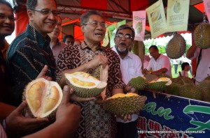 MANSOR Othman (depan, tiga dari kiri) bersama Abd. Halim Hussain (depan, dua dari kiri) dan Abdul Malik Abul Kassim (depan, empat dari kiri) menunjukkan durian yang terdapat di Fiesta Durian Berjenama Balik Pulau di sini baru-baru ini.