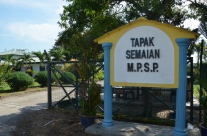 PINTU masuk ke Tapak Semaian MPSP.