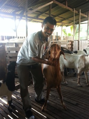 PAK Tam bersama kambing kesayangannya, John yang berusia dua tahun setengah. 