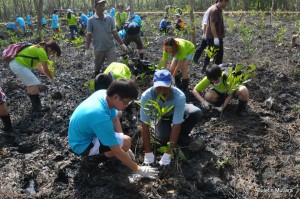 SUKARELAWAN dan para peserta bertungkus-lumus menanam pokok-pokok paya bakau bagi kepentingan ekosistem marin di sini baru-baru ini.