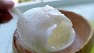 Joez’s Penang Coconut Jelly carries the Penang trademark of good and unique foods, known worldwide.