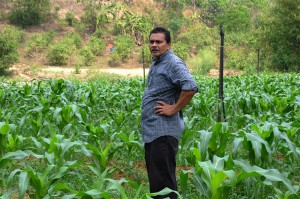 Zul dengan tanaman terbaru, jagung. 