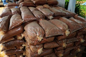 TANAH bakar yang sedia dipasarkan. 