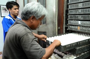 TELUR-telur yang ditempatkan di dalam mesin akubator diperiksa dari semasa ke semasa.