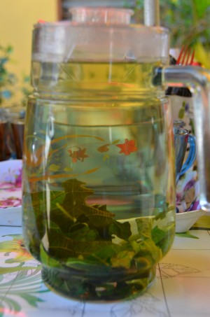 DAUN buah tin yang dijadikan 'teh'.