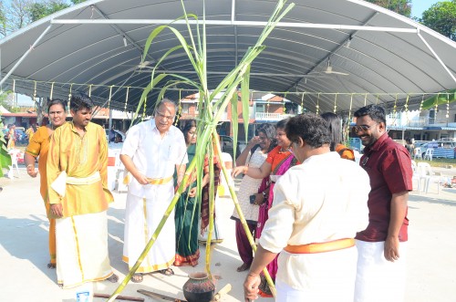 படம் 2: பிறை சட்டமன்ற தொகுதியில் பொங்கல் விழாவை பேராசிரியர் ப.இராமசாமி அவர்கள் பானையில் பால் ஊற்றி துவக்கி வைத்தார்.