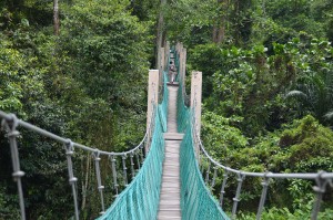 JAMBATAN gantung yang merupakan tarikan utama Hutan Pelajaran Air Hitam Dalam.  