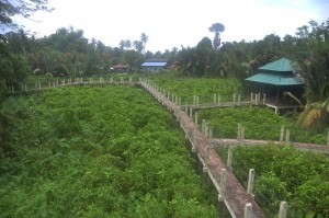 KEMUDAHAN broadwalk yang melebihi 1,000 meter.