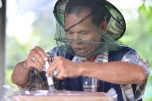 Haji Said sambil bela, sambil buat kajian kelulut 