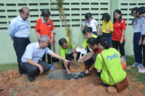 Aktiviti Tanam Pokok Go Green With Pallas Diharap Beri Manfaat Kepada Pelajar Buletin Mutiara