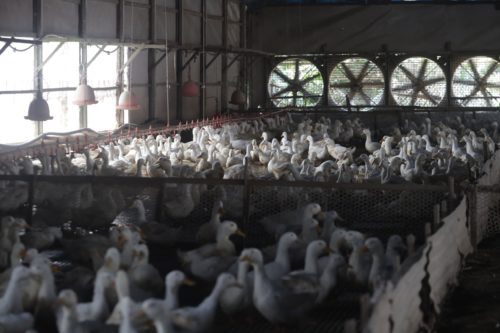 whatsapp image 2024 02 19 at 14.00.55