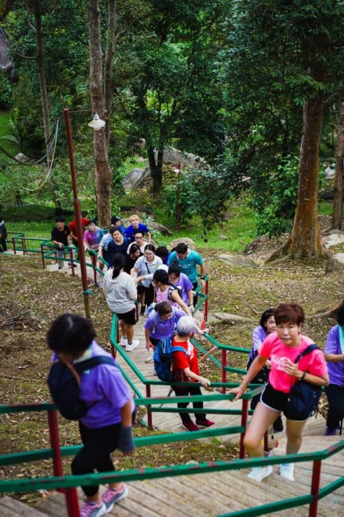 whatsapp image 2024 03 11 at 17.56.38