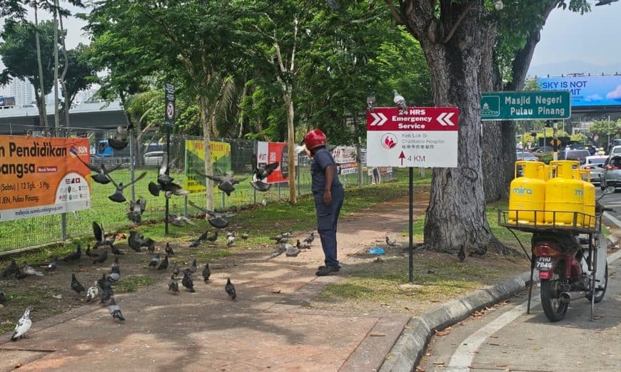 4b41e736 cfdd 4fd0 8832 97525fdaad22