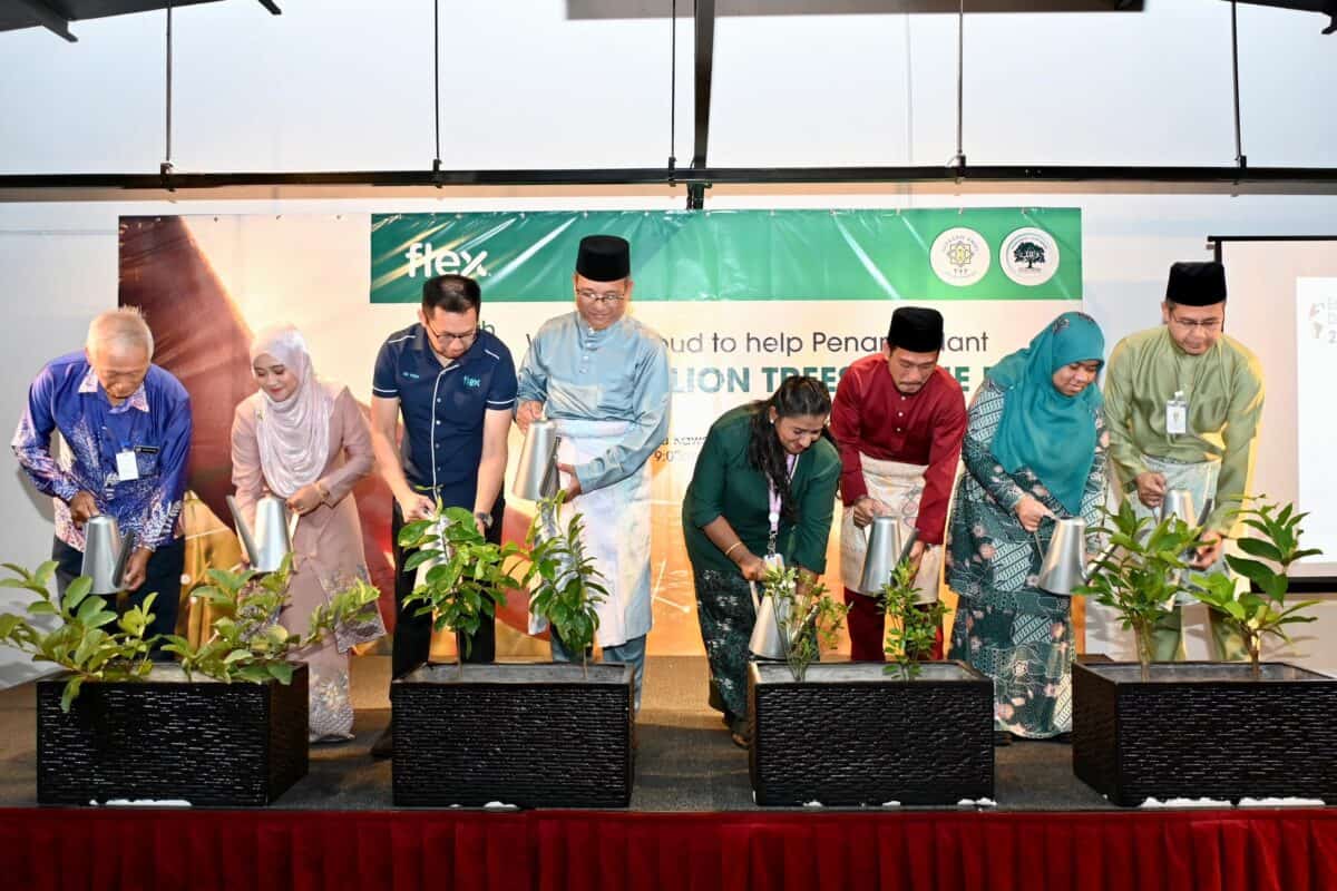 The Unexpected Benefits Of Seed Tree Harvesting For A Greener Planet - 9rdgdjg