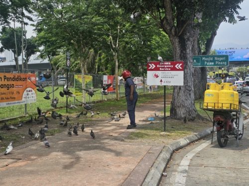 whatsapp image 2024 04 17 at 14.47.51 (1)