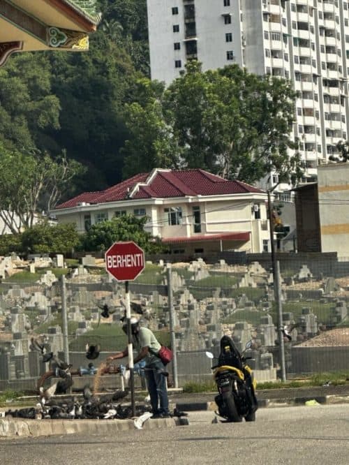 whatsapp image 2024 04 17 at 14.47.51