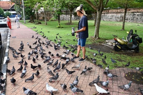 whatsapp image 2024 04 17 at 14.47.52