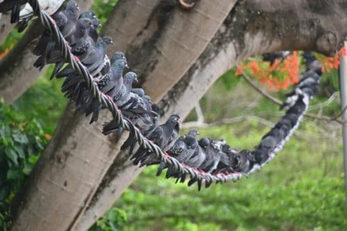 c8c50789 9477 49ea 9a81 43e48ac67179