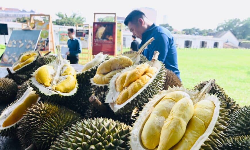 durian 2