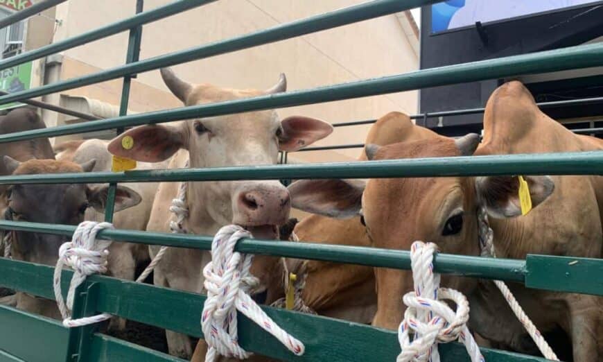 e7c90756 efa5 473e 849d 1f1d3589f55a 1067x800