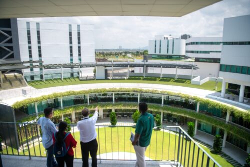 whatsapp image 2025 03 13 at 16.18.38