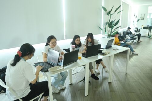 whatsapp image 2025 03 13 at 16.18.39