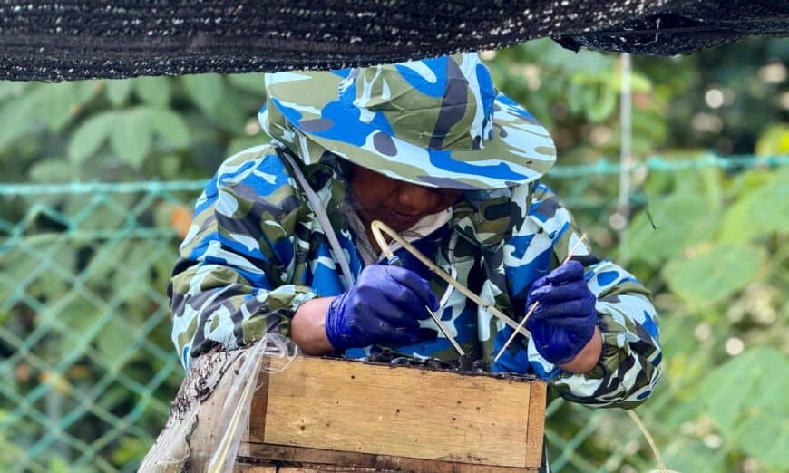 0e166c2e 7382 4737 b47d 5fc06fcad299