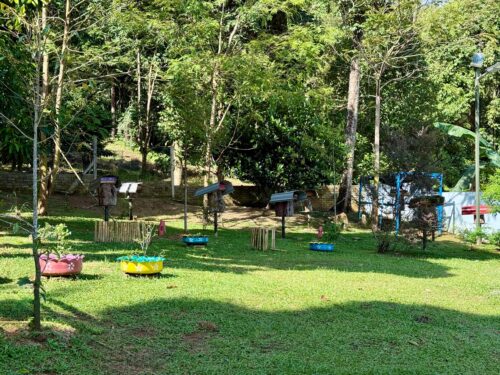 9a23fad8 225a 4fa2 9d5c 537213fa2021