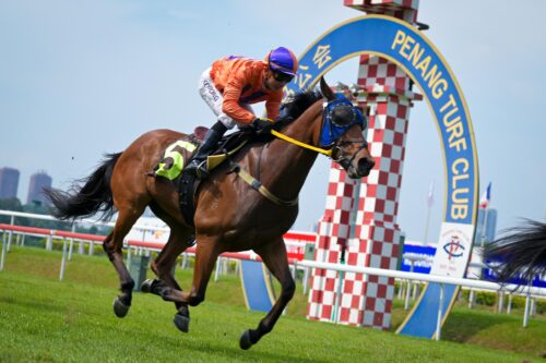 whatsapp image 2025 05 31 at 19.19.24 (1)