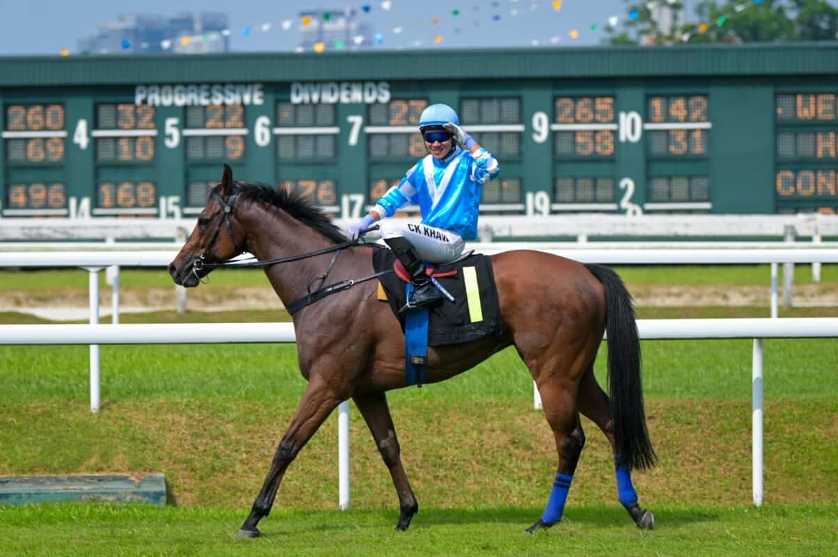 whatsapp image 2025 05 31 at 19.19.24