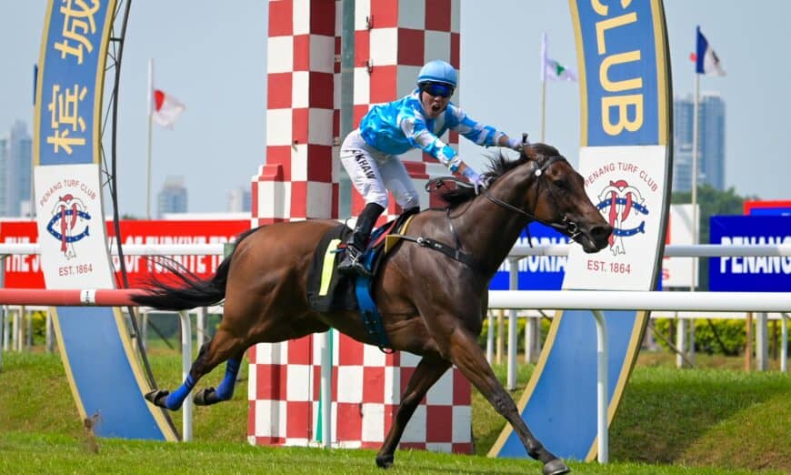 whatsapp image 2025 05 31 at 19.19.25 (1)