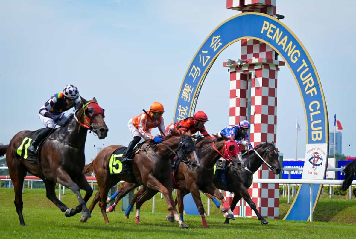 whatsapp image 2025 05 31 at 19.19.25