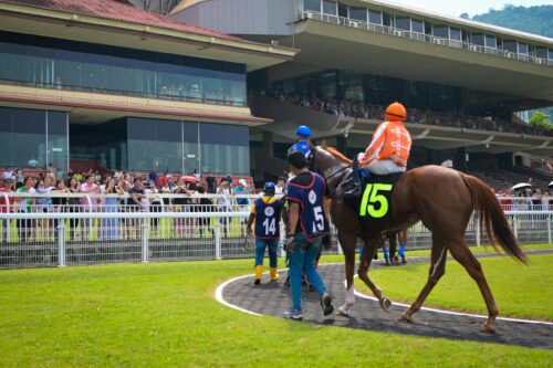 whatsapp image 2025 05 31 at 19.19.26