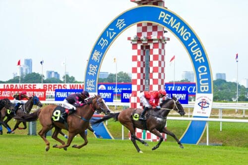 whatsapp image 2025 05 31 at 19.41.18