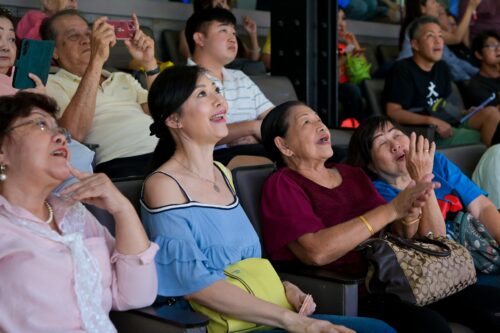 whatsapp image 2025 05 31 at 19.41.20