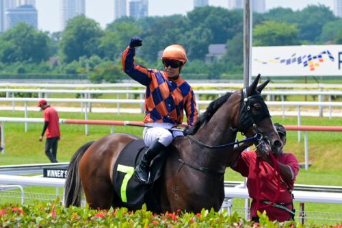 whatsapp image 2025 05 31 at 19.41.21 (1)