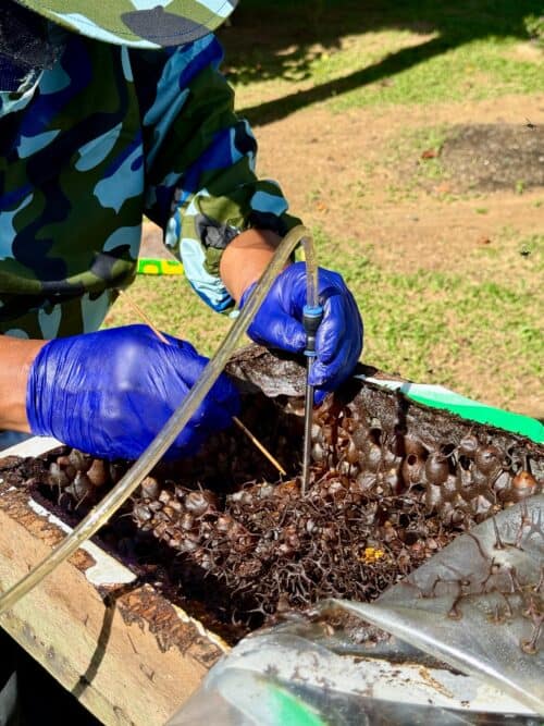 a0173800 9c7f 4e44 b966 dd138773ff6d