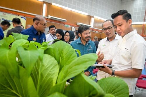 whatsapp image 2025 06 17 at 14.25.52 (1)