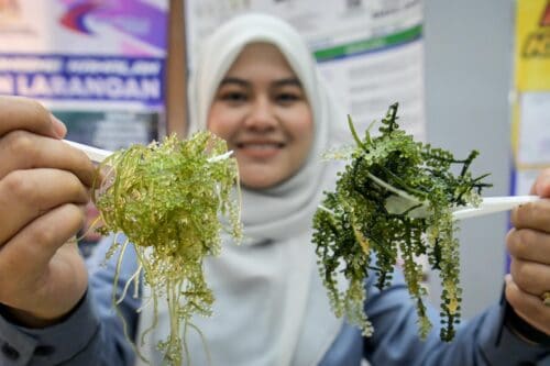 whatsapp image 2025 06 17 at 14.25.54