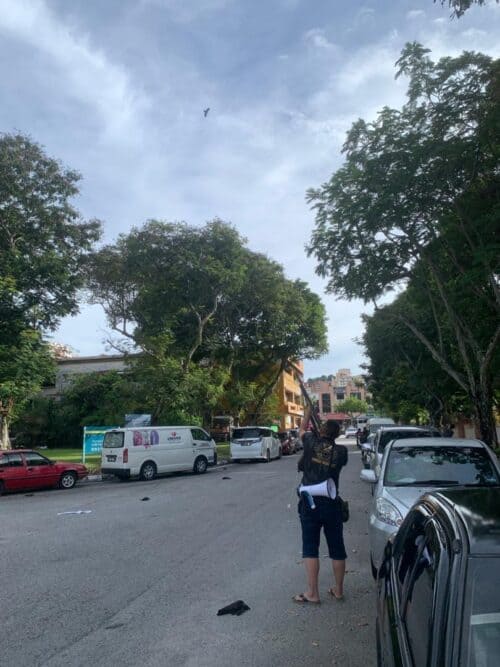 26cb703d b0fc 40c8 a7a1 398bb0bdc42e