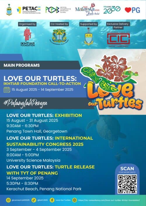 love our turtles mainprogram