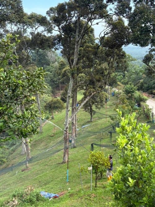 photo 2025 07 03 14 30 07