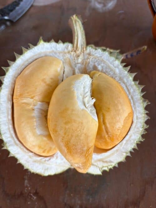 photo 2025 07 03 14 30 09