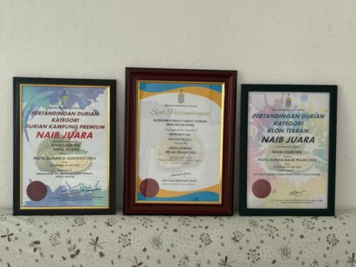 photo 2025 07 04 08 39 19